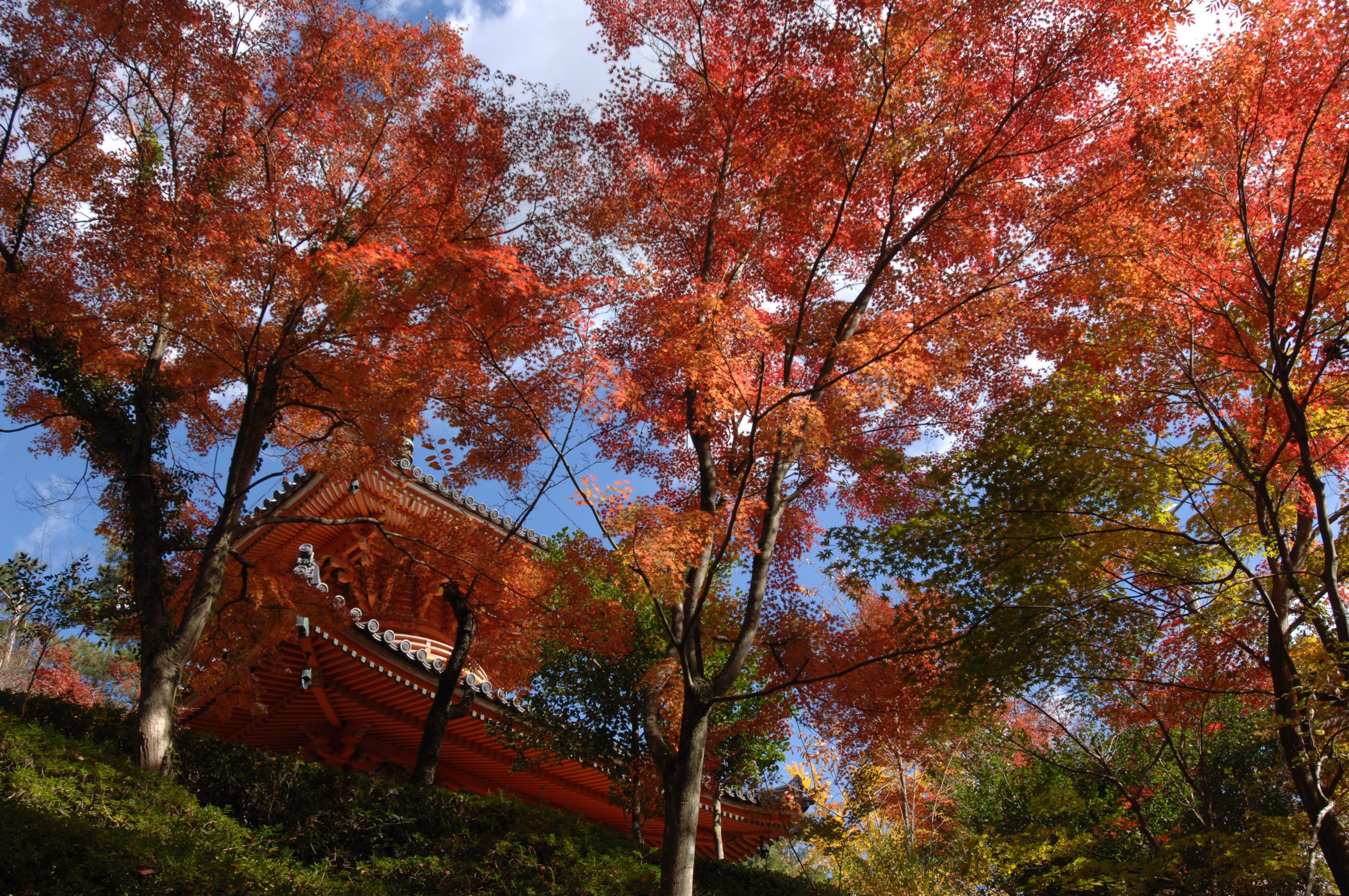 三瀧寺